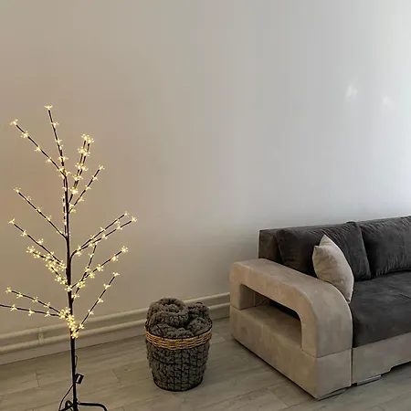 Appartement Grand Royal